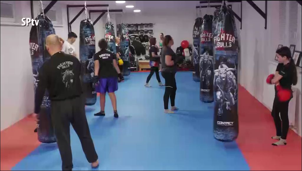 SPORT Fighter Bulls